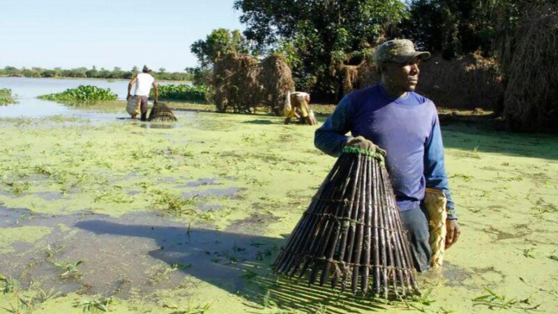 Documentário sobre escravidão contemporânea será tema de debate entre alunos