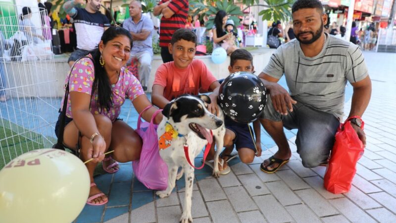Evento de adoção de cães acontece neste sábado na praça de Campo Grande