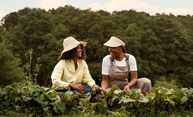 Aplicações de Crédito Rural no Espírito Santo alcançam R$ 5,9 bilhões em dez meses