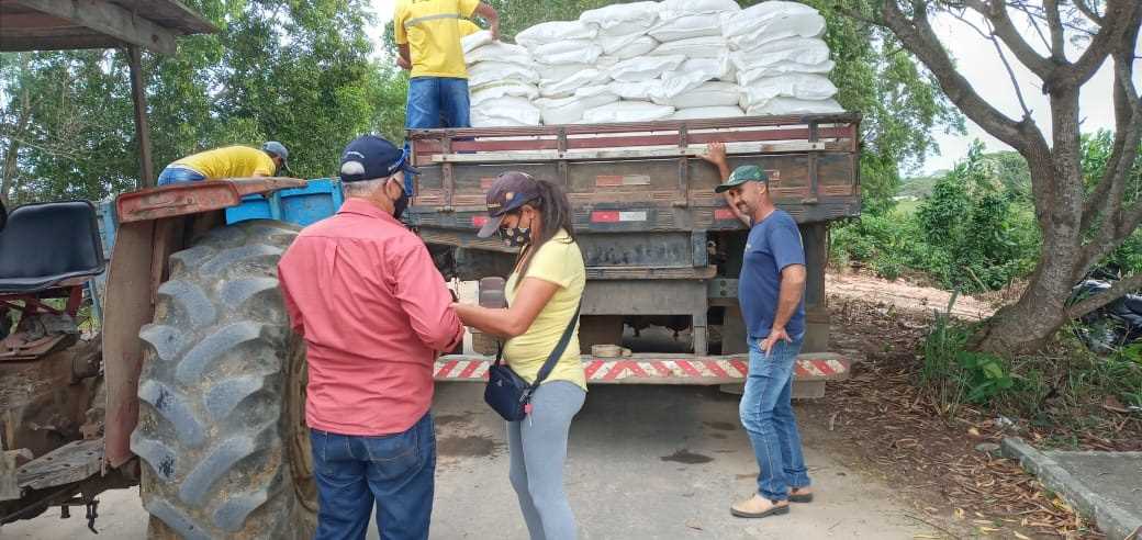 Prefeitura de Itapemirim Retoma Distribuição de Ração Balanceada: Impulso Estratégico à Produção Leiteira