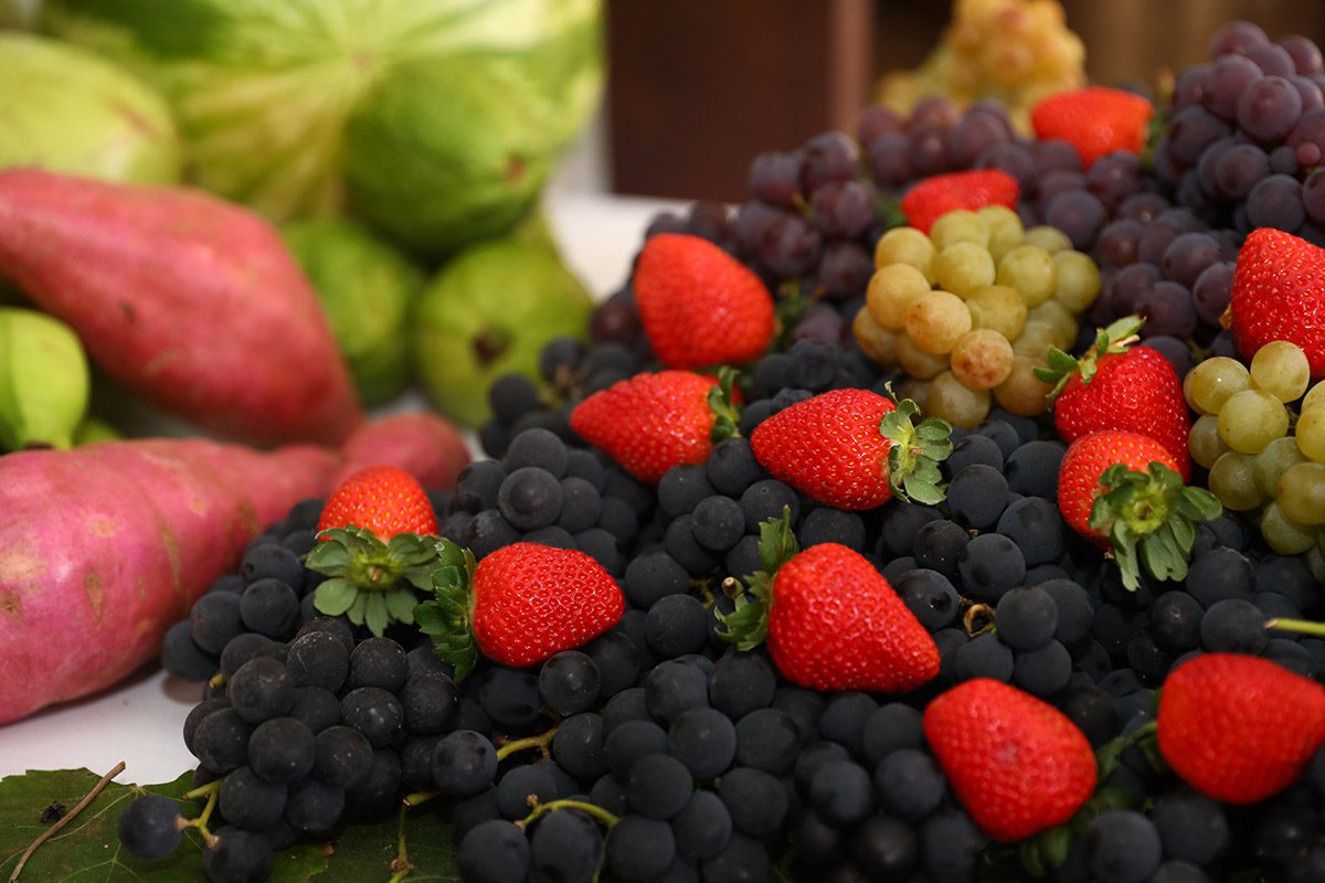 Arranjos Produtivos avança para nova fase e aumenta o apoio aos agricultores familiares