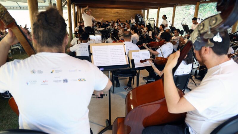 Festival Cine.Ema completa 10 anos com concerto sinfônico e cinema ao ar livre na Mata Atlântica