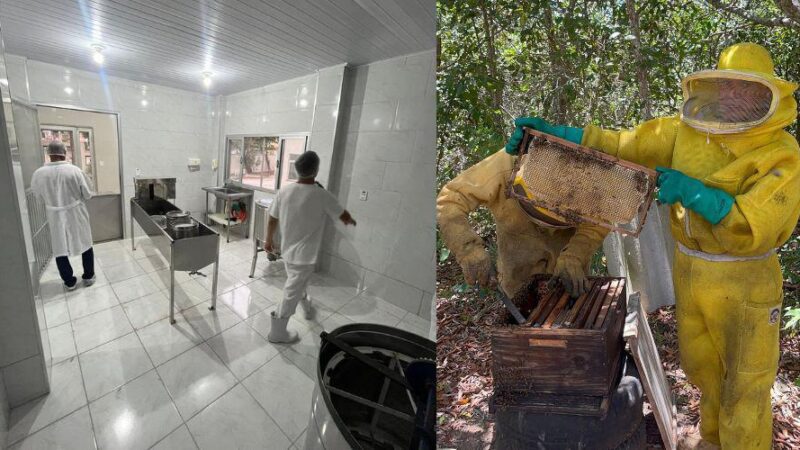 Vila Velha inaugura sua 1ª agroindústria de beneficiamento de mel