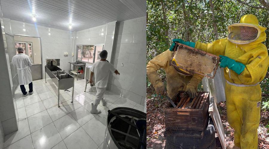 Vila Velha inaugura sua 1ª agroindústria de beneficiamento de mel