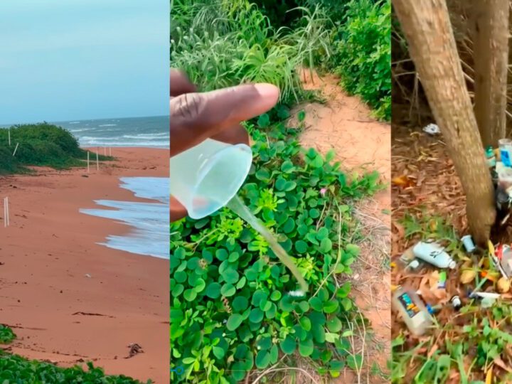 Jacaraípe em alerta: moradores cobram ação contra atos obscenos e assédio na praia