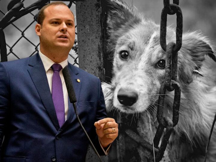 Dr. Victor Linhalis apresenta nova ferramenta de combate aos maus-tratos animais no Espírito Santo