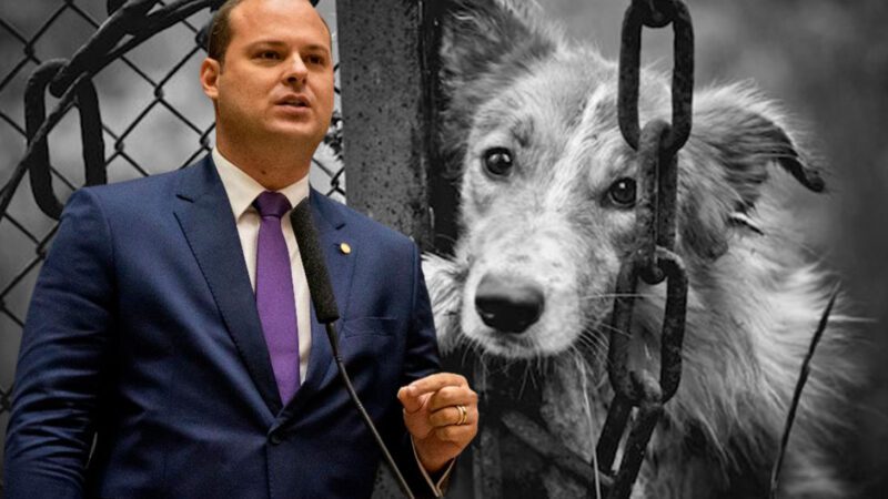 Dr. Victor Linhalis apresenta nova ferramenta de combate aos maus-tratos animais no Espírito Santo