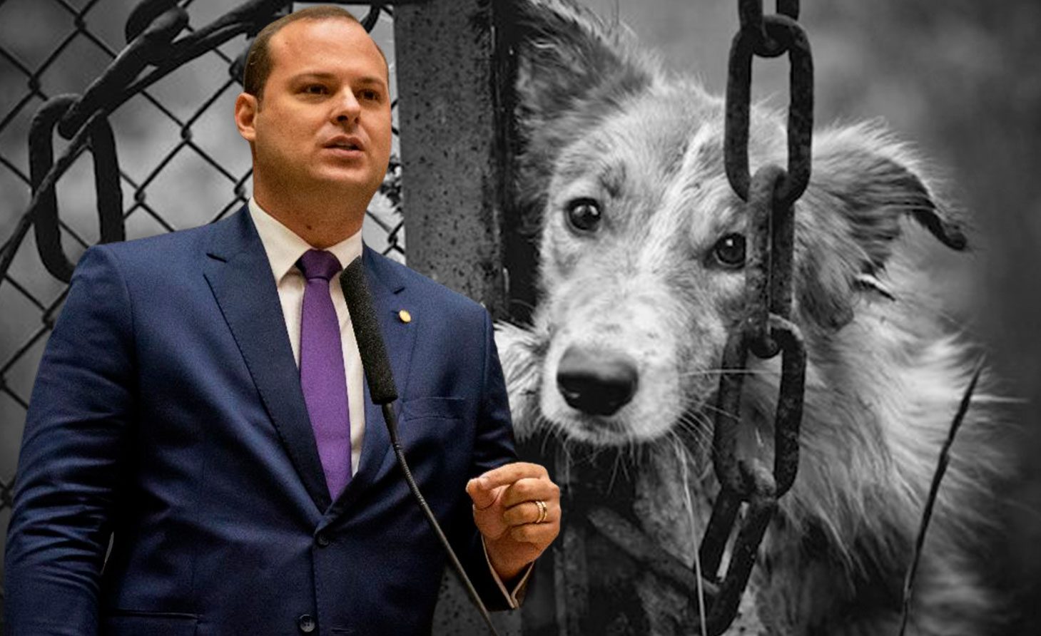 Dr. Victor Linhalis apresenta nova ferramenta de combate aos maus-tratos animais no Espírito Santo