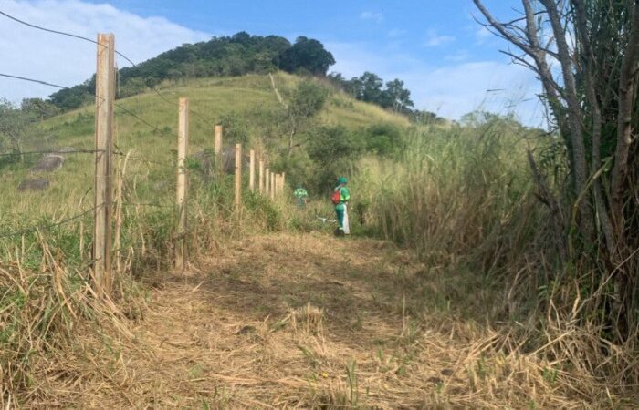 Vitória entra em alerta máximo para incêndios florestais e reforça ações de prevenção