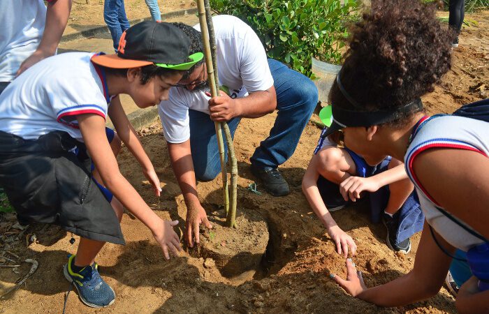 Projeto em Vitória aproxima população da restinga e reforça proteção ambiental da orla