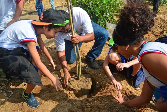 Projeto em Vitória aproxima população da restinga e reforça proteção ambiental da orla
