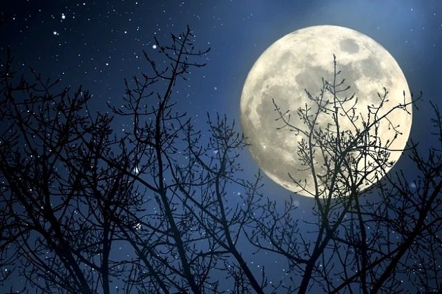 Em fevereiro (5) inicia o projeto Lua Cheia no Parque da Fonte Grande