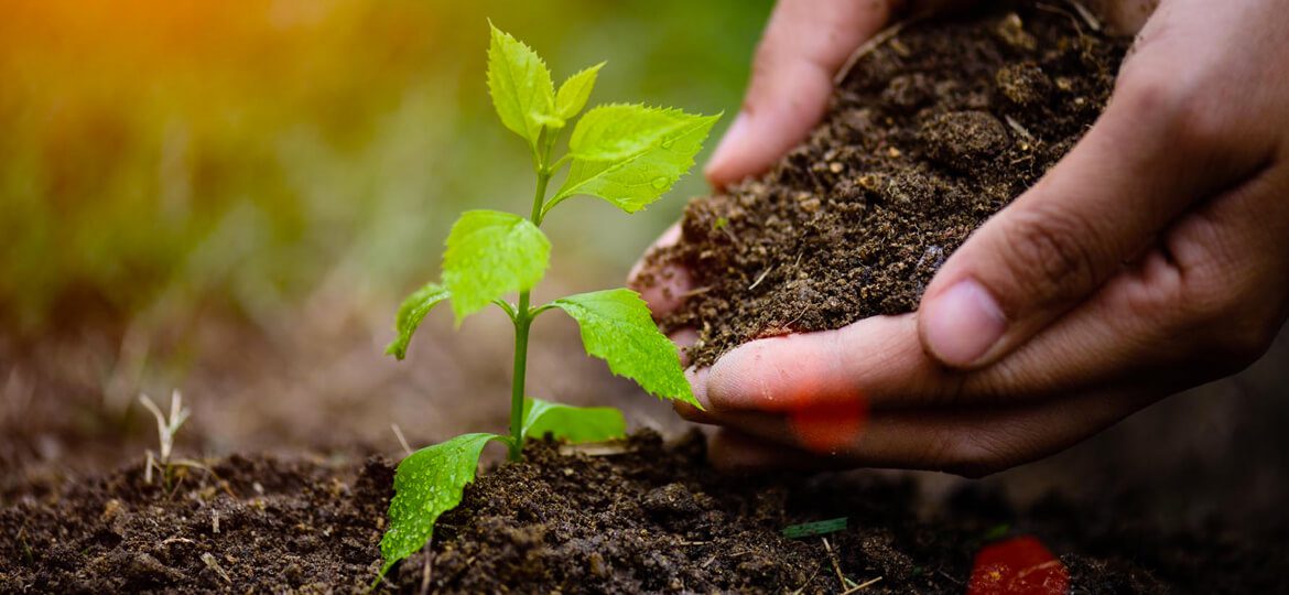 Em Vila Velha ​produtores rurais despertam para importância da agroecologia