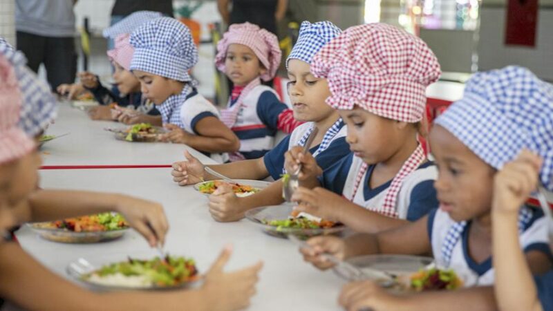 Palestra debate possibilidades didáticas a partir da merenda escolar