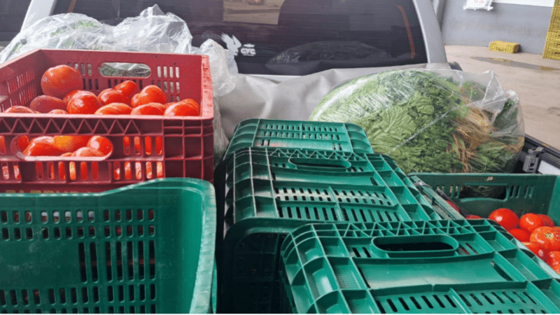 Banco de Alimentos de Cariacica arrecada 5,5 toneladas de alimentos em parceria com supermercado, beneficiando mais de 1 mil famílias