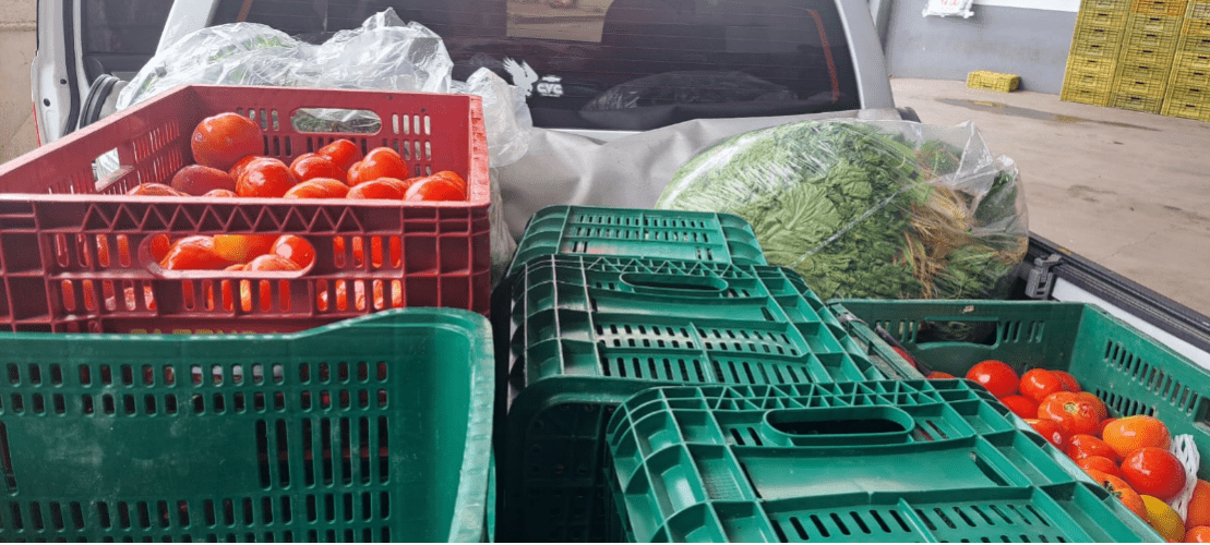 Banco de Alimentos de Cariacica arrecada 5,5 toneladas de alimentos em parceria com supermercado, beneficiando mais de 1 mil famílias