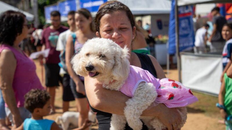Evento SuperAção em Normília da Cunha oferecerá triagem para castração de cadelas e gatas