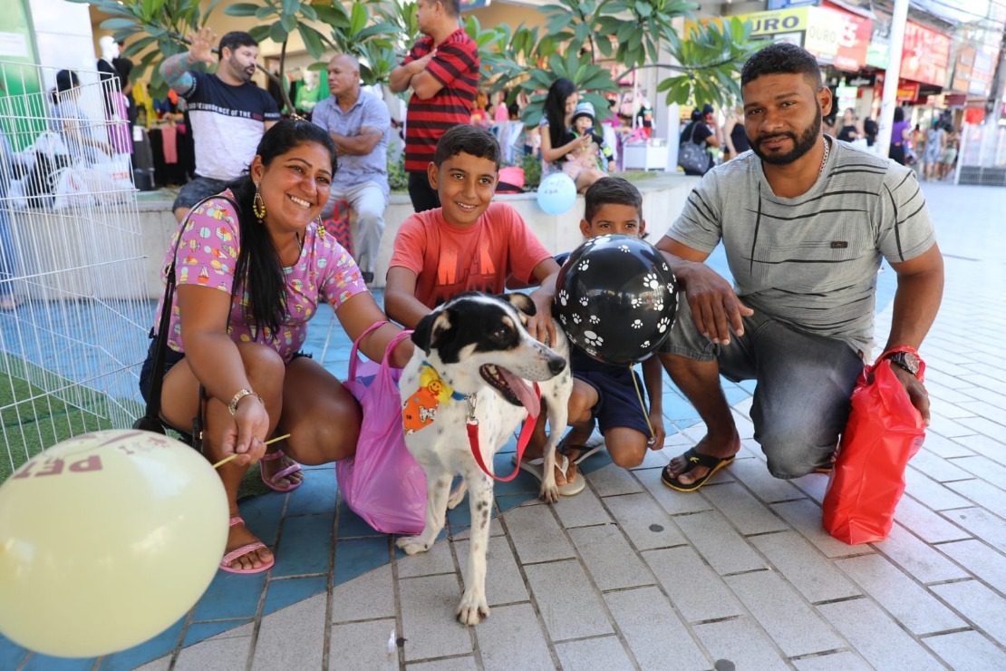 Evento de adoção de cães acontece neste sábado na praça de Campo Grande