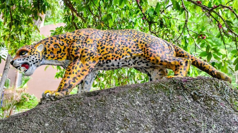 Famílias desfrutam de manhã de interação no Parque Natural Gruta da Onça com bebês