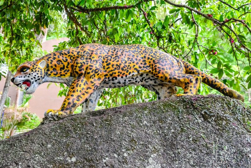 Famílias desfrutam de manhã de interação no Parque Natural Gruta da Onça com bebês