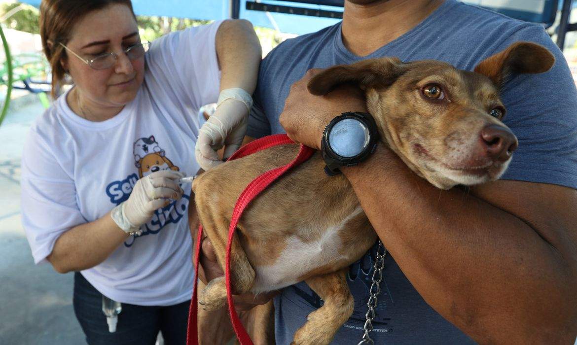 Grande Vitória realiza mutirão de vacinação contra raiva para cães e gatos neste sábado (21)