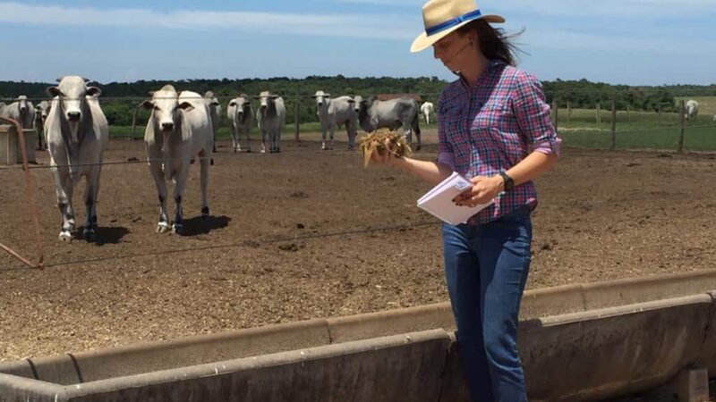 Reconhecimento Nacional: Capixaba Renata Erler é Nomeada a Zootecnista Mais Influente de 2024